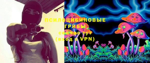 Альфа ПВП Пролетарск