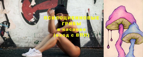 jwh Протвино